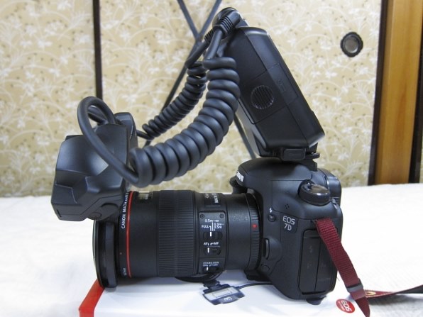 かわいい！ CANON MT-24EX キヤノン マクロツインライト その他 - teatrodelamemoria.com