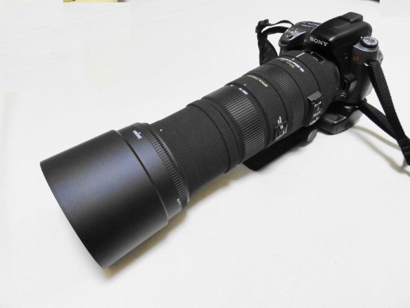 超望遠ズームの勧め♪』 シグマ APO 150-500mm F5-6.3 DG OS HSM (ソニー用) potekitiさんのレビュー評価・評判  - 価格.com