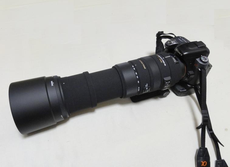 超望遠ズームの勧め♪』 シグマ APO 150-500mm F5-6.3 DG OS HSM (ソニー用) potekitiさんのレビュー評価・評判  - 価格.com