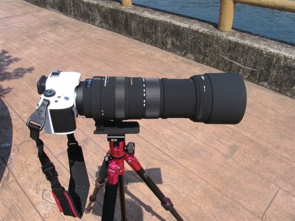 美品 Sigma APO 150-500mm F5-6.3 OS Pentax シグマ SIGMA APO 150-500mm F5-6.3DG OS HSM ペンタックス用