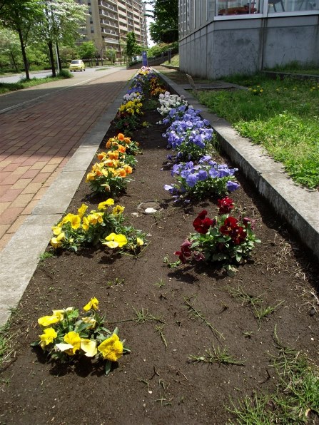 富士フイルム FinePix S2500HDで撮影された写真 (レビュー) - 価格.com