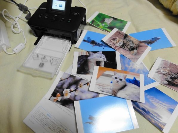 CANON SELPHY CP800(BK) [ブラック]投稿画像・動画 - 価格.com