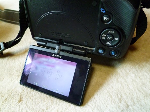 SONY α33 SLT-A33Y ダブルズームレンズキット投稿画像・動画 (レビュー