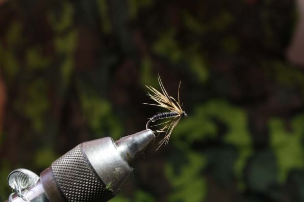 CANON EOS Kiss F レンズキット レビュー評価・評判 - 価格.com