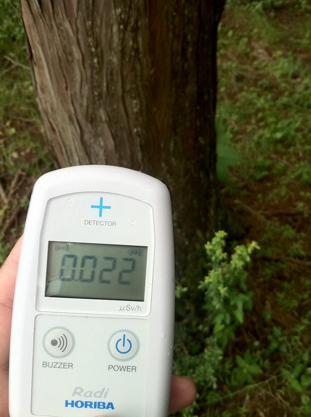 HORIBA Radi 放射線測定器　PA-1000 Amazon | ガイガーカウンター PA-1000 Radi （ラディ） 環境