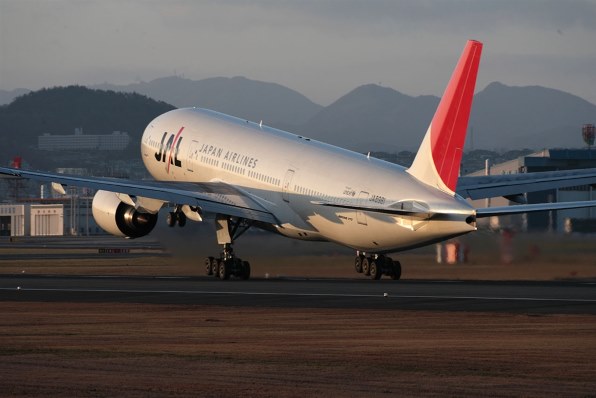 シグマ APO 170-500mm F5-6.3 DG (ｷﾔﾉﾝ AF)投稿画像・動画 - 価格.com