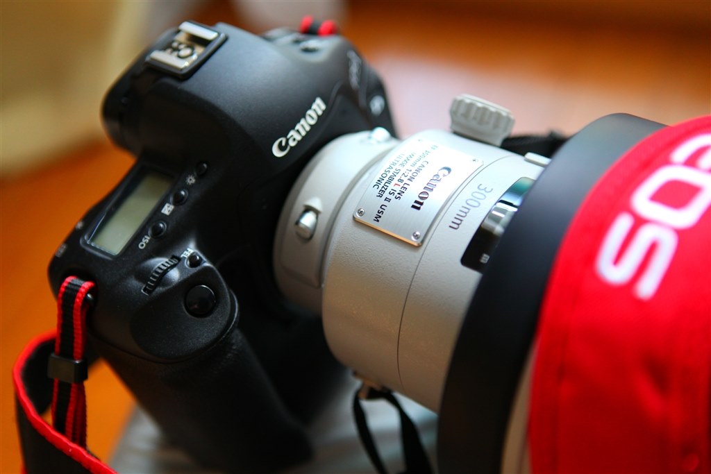 本当にいいレンズです。新型サンニッパ！』 CANON EF300mm F2.8L IS II USM カメラマン8号さんのレビュー評価・評判 -  価格.com