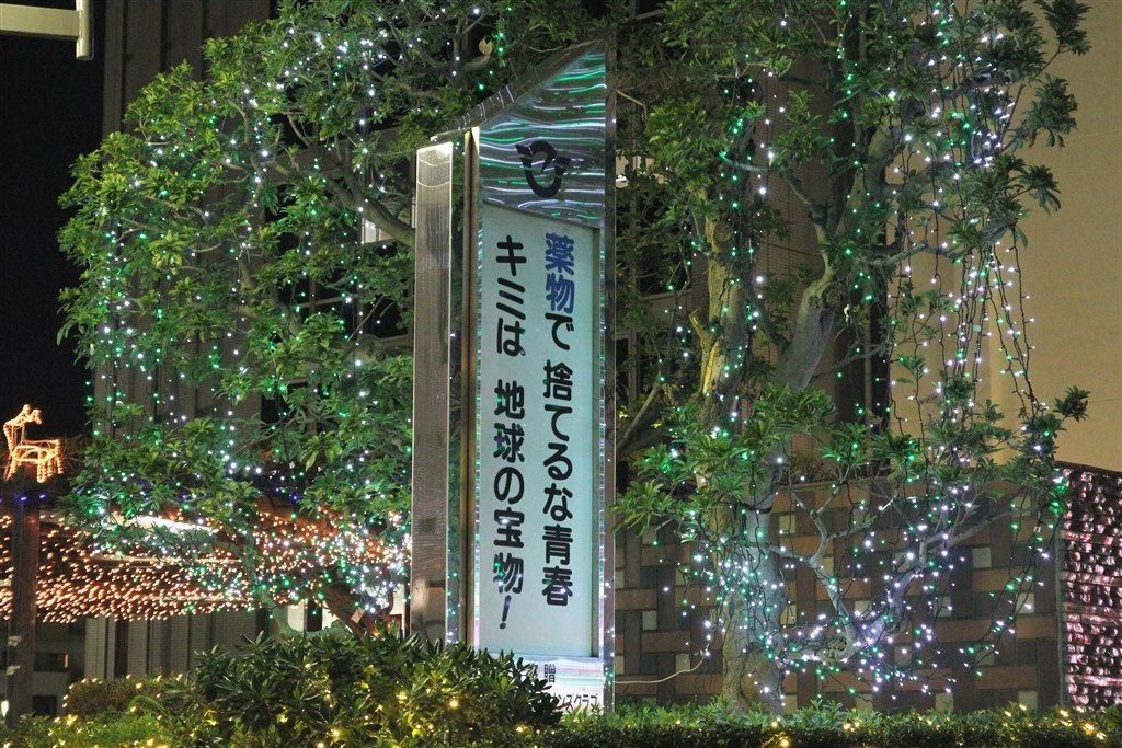 ☆TAMRON 17-50mm F2.8 VC B005 Canon用☆手ぶれ 1ヶ月動作補償
