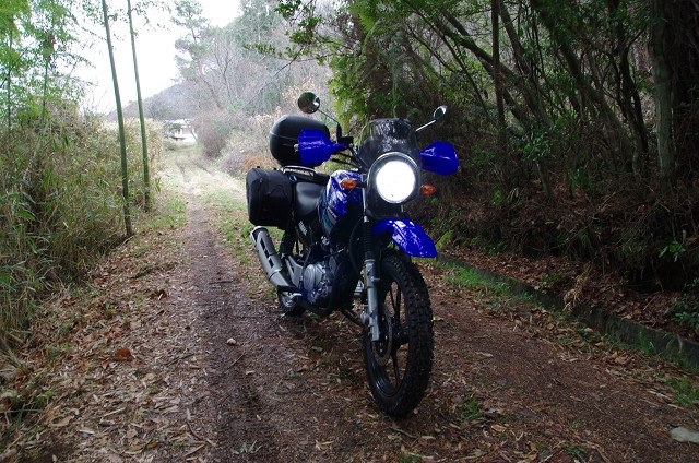 半年で９０００ｋｍ・・・・燃費良し！』 ヤマハ YBR125 ゲゲゲのゲ～さんのレビュー評価・評判 - 価格.com