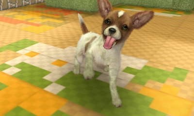 任天堂 nintendogs + cats 柴&Newフレンズ投稿画像・動画 - 価格.com