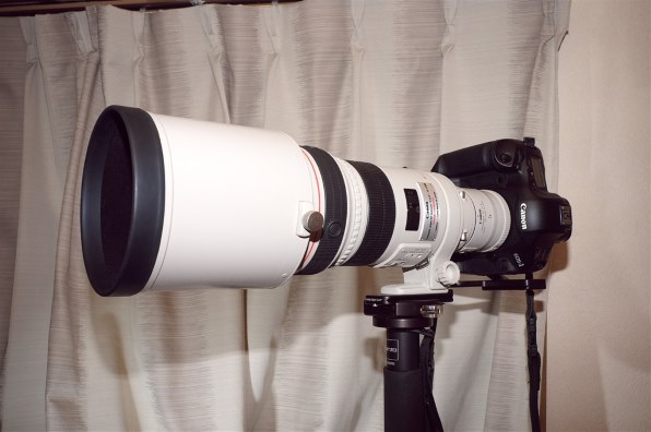 GITZO カーボン6X一脚 GM3550投稿画像・動画 - 価格.com