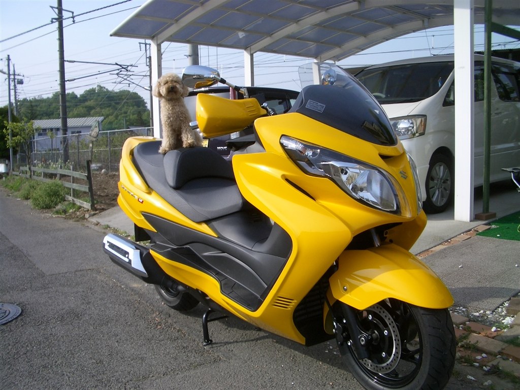 スズキ スカイウェイブ250 ryaパパさんのレビュー評価・評判 スズキ スカイウェイブ250 ryaパパさんのレビュー評価・評判