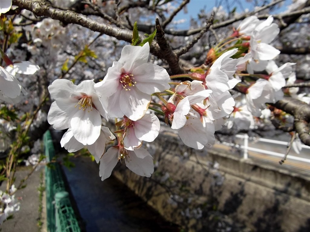 FINEPIX JX280 ピンク Amazon | FUJIFILM デジタルカメラ FinePix(ファインピックス) JX280