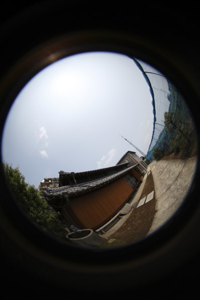 SIGMA 単焦点魚眼レンズ 8mm F3.5 EX DG CIRCULAR FISHEYE キヤノン用