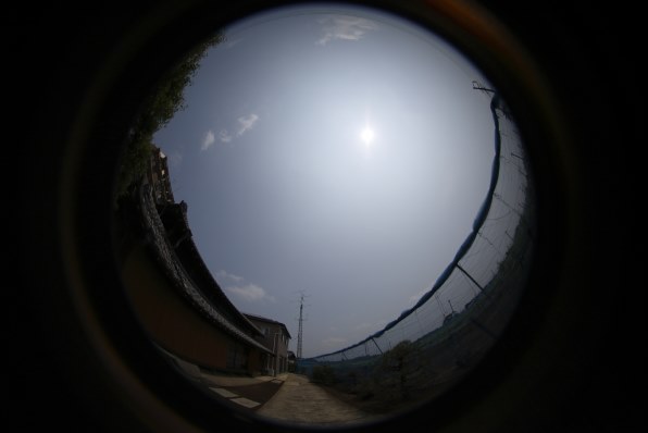 SIGMA - シグマ 8mm F3.5EX DG FISHEYE Amazon.com: Sigma 8mm F3.5 EX DG Circular Fisheye Lens for