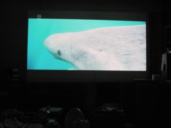 Nec Viewlight Np L50wjd レビュー評価 評判 価格 Com