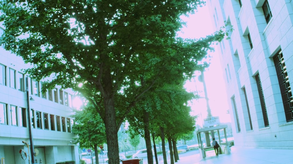 光の表現を楽しんでください ペンタックス Pentax 04 Toy Lens Wide Apa非会員さんのレビュー評価 評判 価格 Com