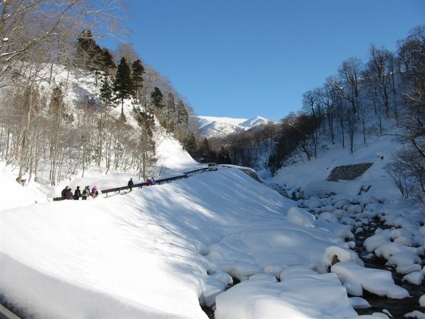 CANON PowerShot A20投稿画像・動画 (レビュー) - 価格.com