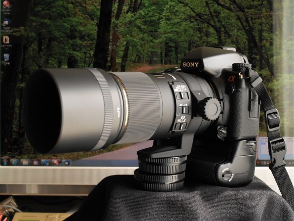 シグマ APO MACRO 150mm F2.8 EX DG OS HSM [ソニー用] レビュー評価