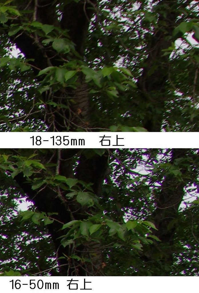 じゃじゃ馬のわけ』 ペンタックス smc PENTAX-DA☆ 16-50mm F2