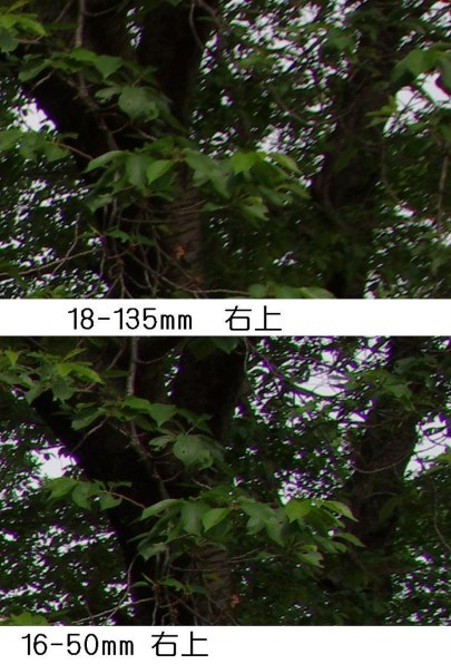 じゃじゃ馬のわけ』 ペンタックス smc PENTAX-DA☆ 16-50mm F2
