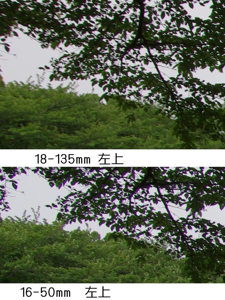 PENTAX - [美品/作例あり] SMC Pentax DA* 16-50mm f2.8 Amazon.co.jp: smc PENTAX-DA☆16-50mmF2.8ED AL[IF] SDM 標準